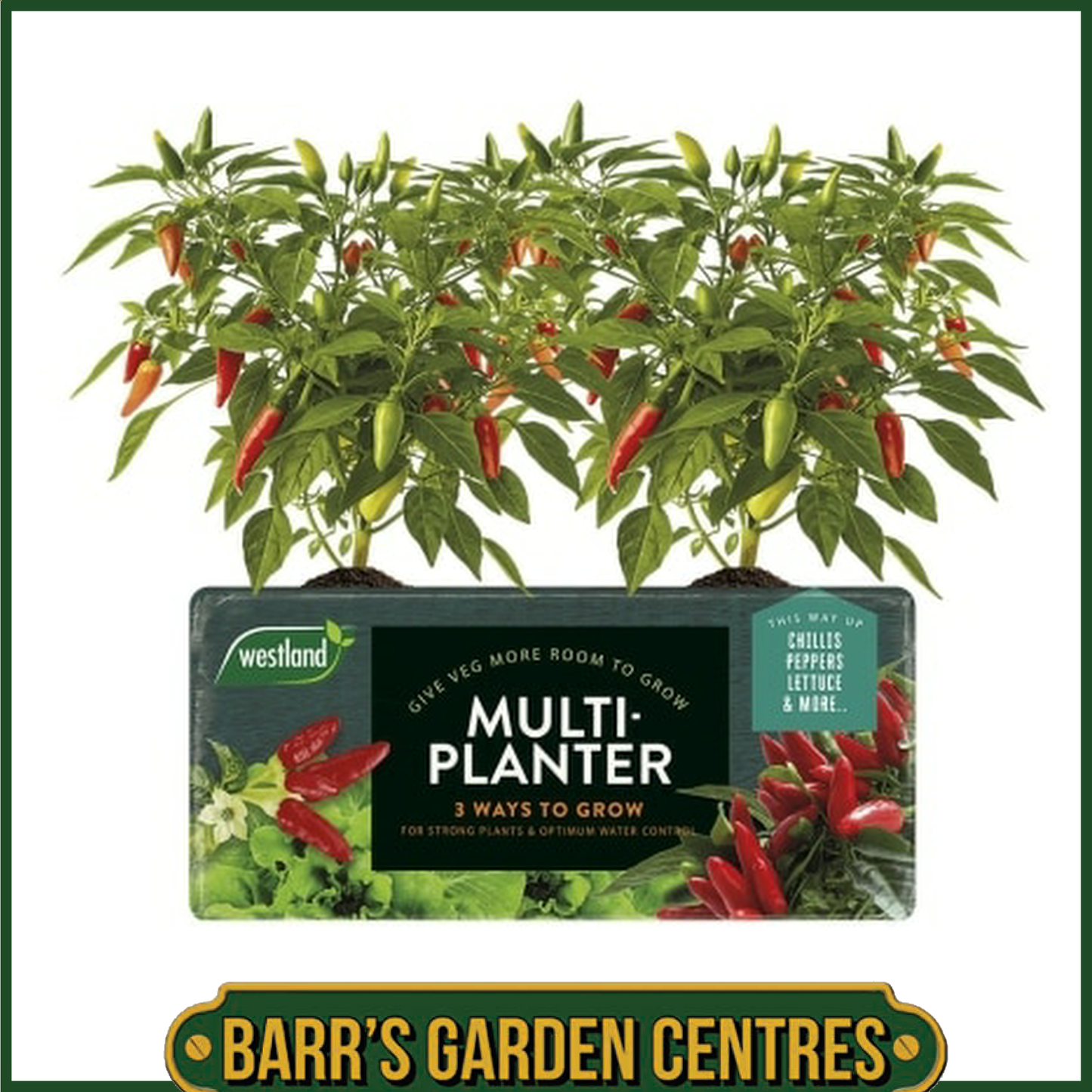 Westland Multi-Planter Medium 40L