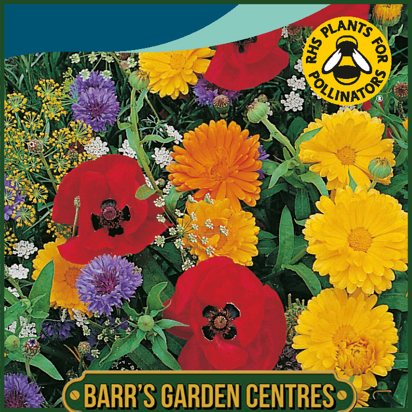 Johnsons - Mixed Wildlife Friendly Annuals - 1g Seeds