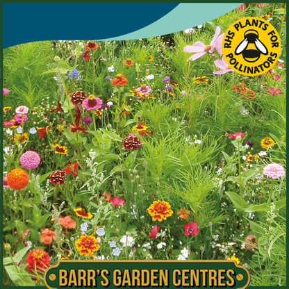 Johnsons - Mixed Annuals Mary Lou - 1g Seeds