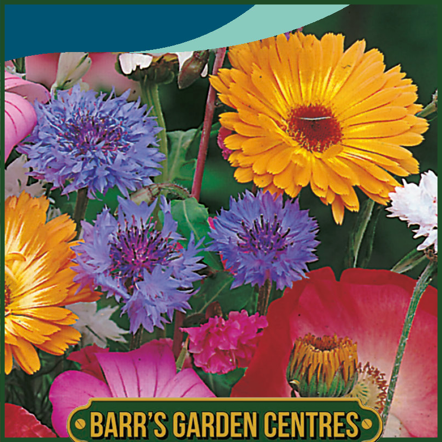 Johnsons - Mixed Quick and Easy Annuals - 0.7g Seeds