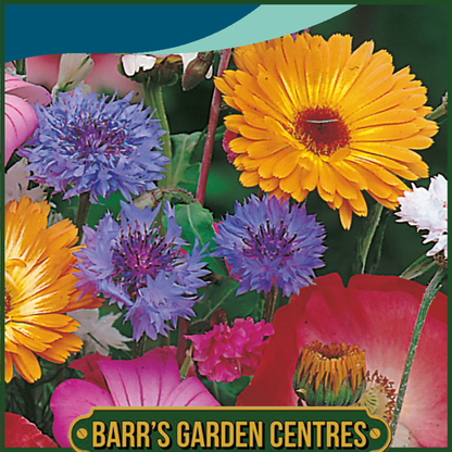 Johnsons - Mixed Quick and Easy Annuals - 0.7g Seeds