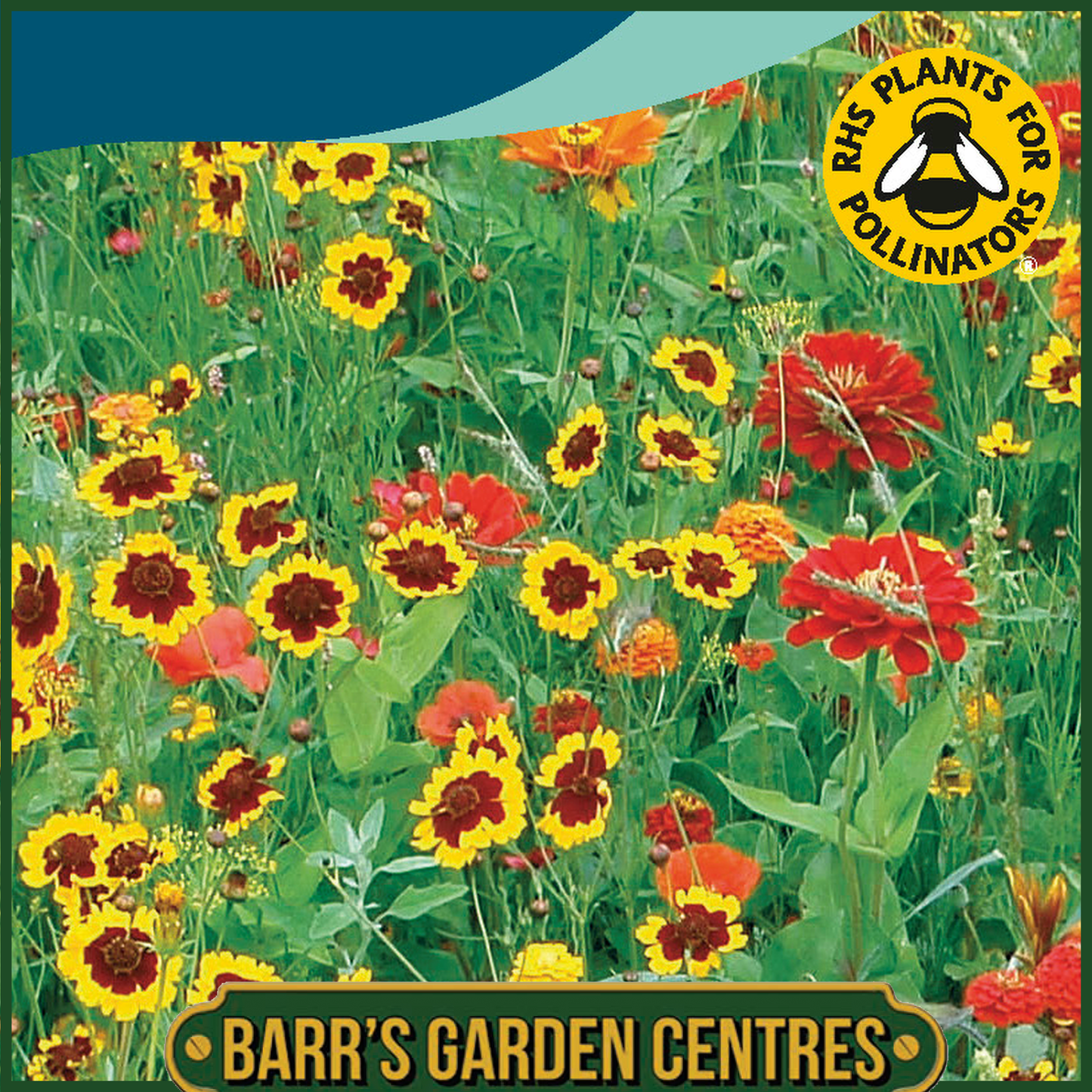 Johnsons - Mixed Annuals Maggie May - 1g Seeds
