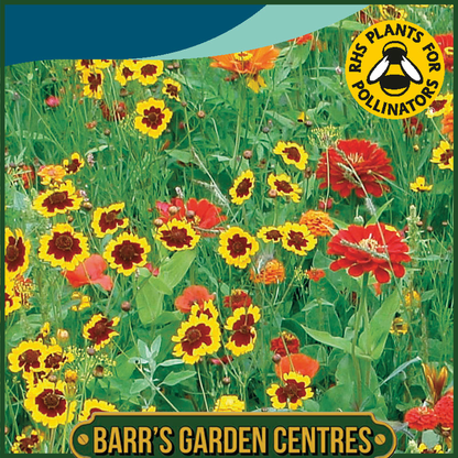 Johnsons - Mixed Annuals Maggie May - 1g Seeds