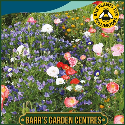 Johnsons - Mixed Annuals Carrie Ann - 1g Seeds