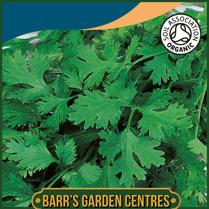 Johnsons - Organic Herb - Coriander Cilantro for Leaf - 100 Seeds