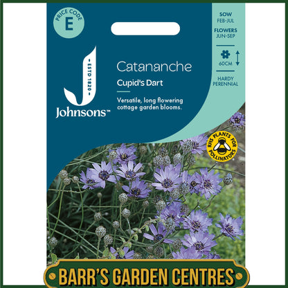 Johnsons - Catananche Cupid's Dart - 125 Seeds