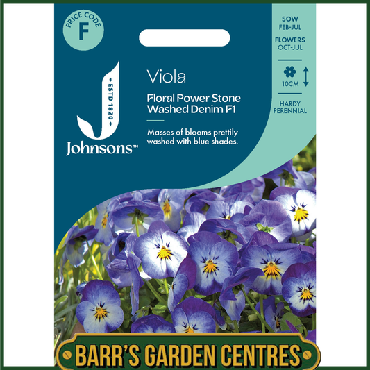 Johnsons - Viola Floral Power Stone Washed Denim F1 - 30 Seeds