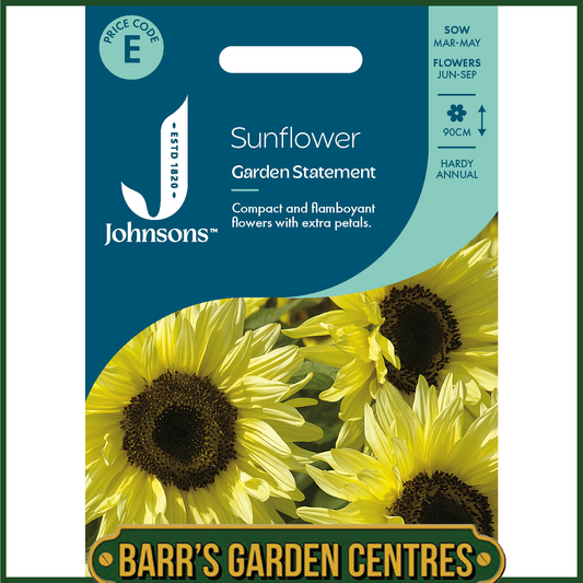 Johnsons - Sunflower Garden Statement - 50 Seeds
