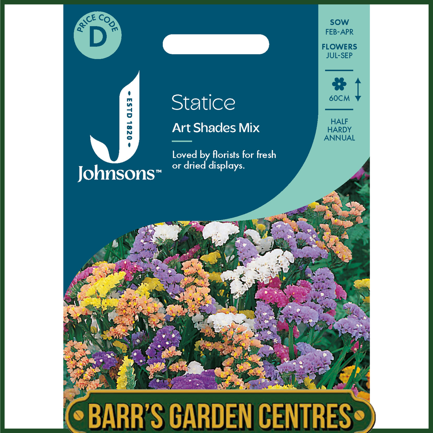 Johnsons - Statice Art Shades Mix - 100 Seeds