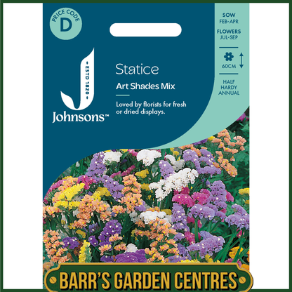 Johnsons - Statice Art Shades Mix - 100 Seeds