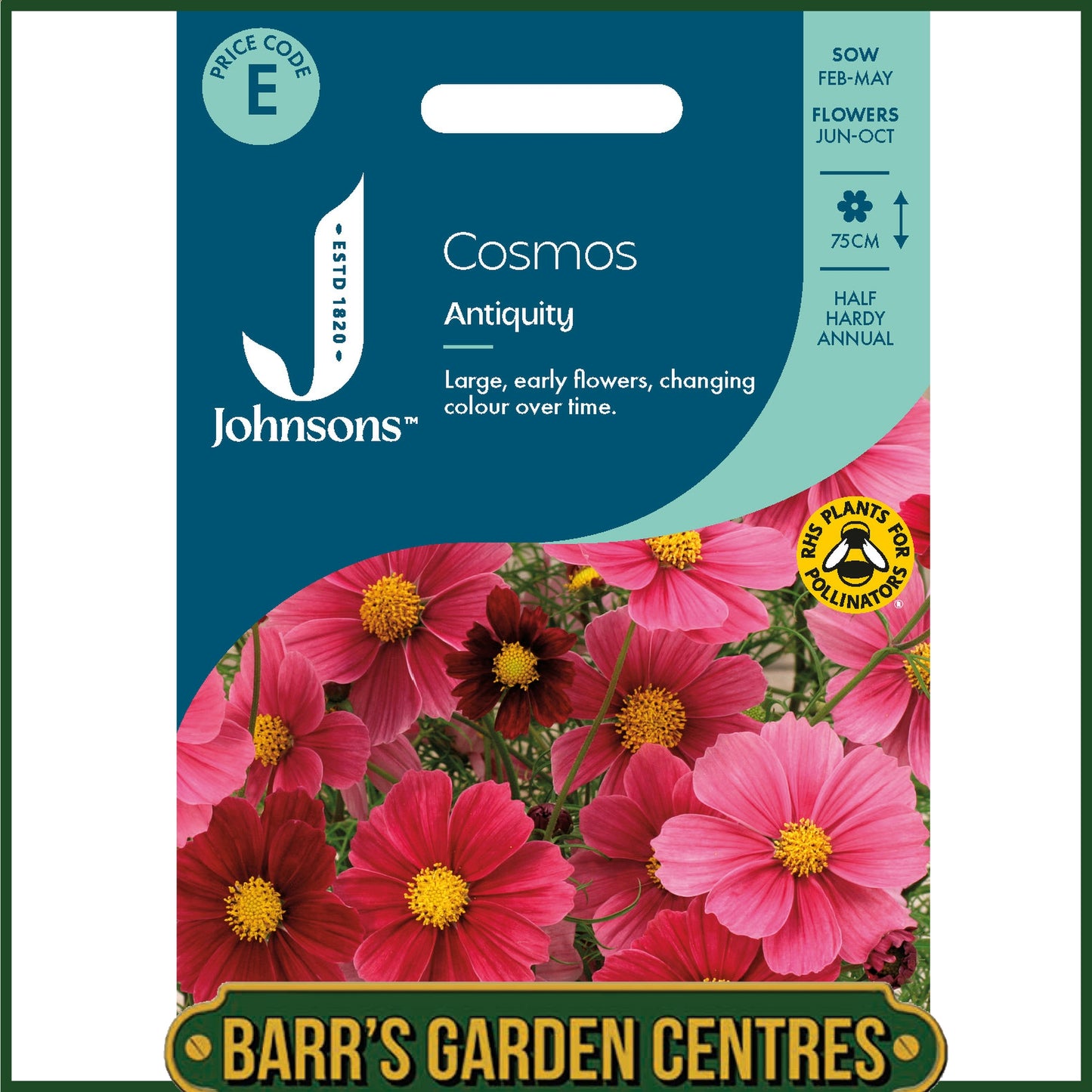 Johnsons - Cosmos Antiquity - 30 Seeds