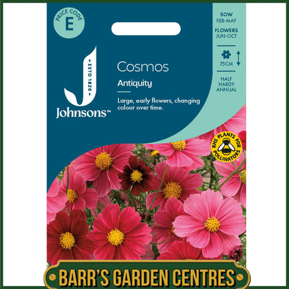Johnsons - Cosmos Antiquity - 30 Seeds