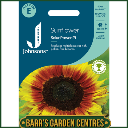 Johnsons - Sunflower Solar Power F1 - 20 Seeds
