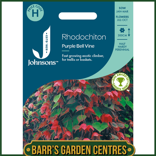 Johnsons - Rhodochiton Purple Bell Vine - 15 Seeds