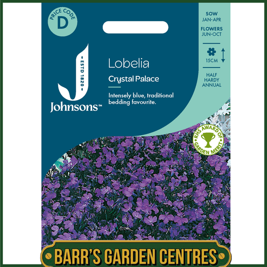 Johnsons - Lobelia Crystal Palace - 2500 Seeds