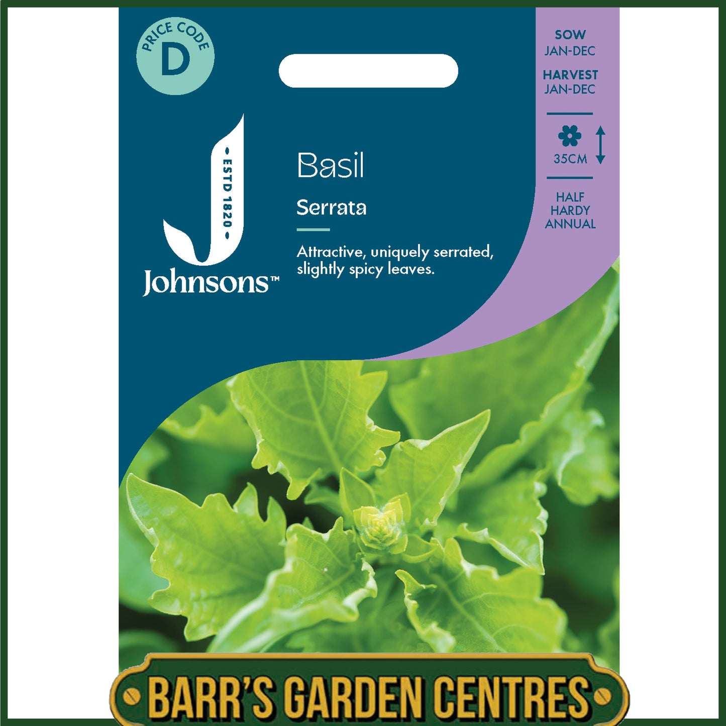 Johnsons - Herb - Basil Serrata - 300 Seeds