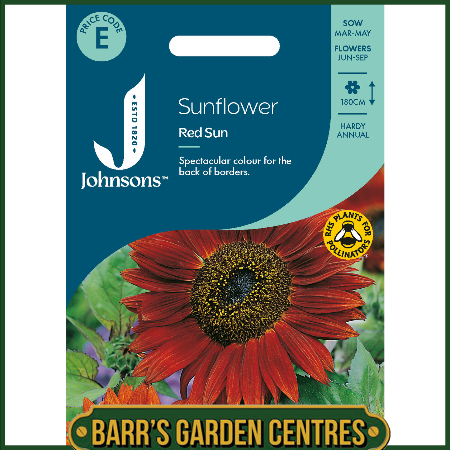 Johnsons - Sunflower Red Sun - 40 Seeds