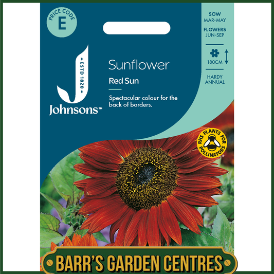 Johnsons - Sunflower Red Sun - 40 Seeds
