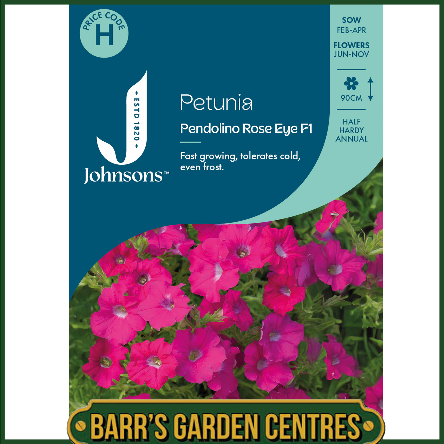 Johnsons - Petunia Pendolino Rose Eye F1 - 10 Seeds