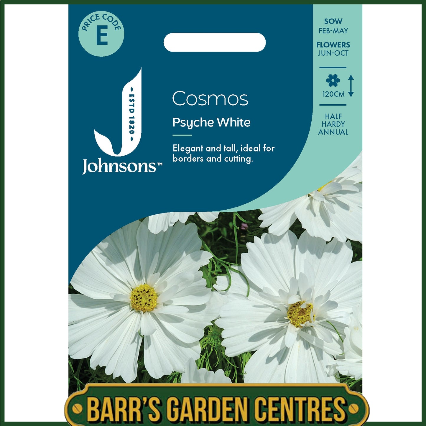 Johnsons - Cosmos Psyche White - 100 Seeds