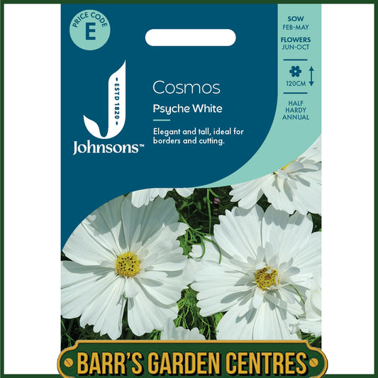 Johnsons - Cosmos Psyche White - 100 Seeds