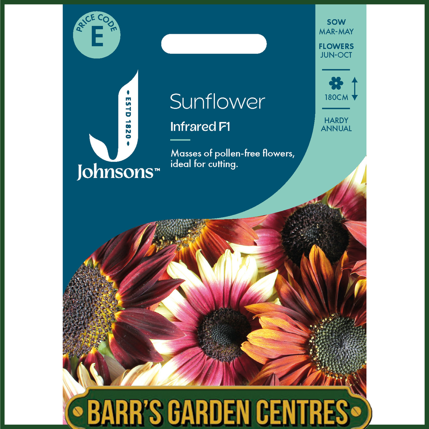 Johnsons - Sunflower Infrared F1 - 20 Seeds