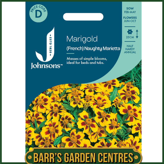 Johnsons - Marigold (French) Naughty Marietta - 175 Seeds