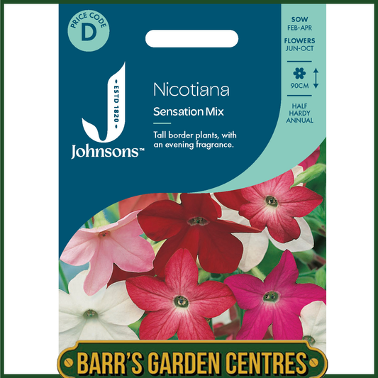 Johnsons - Nicotiana Sensation Mix - 2000 Seeds