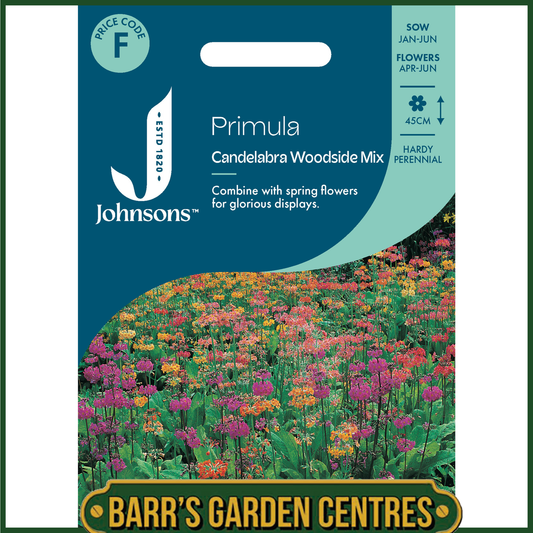 Johnsons - Primula Candelabra Woodside Mix - 50 Seeds