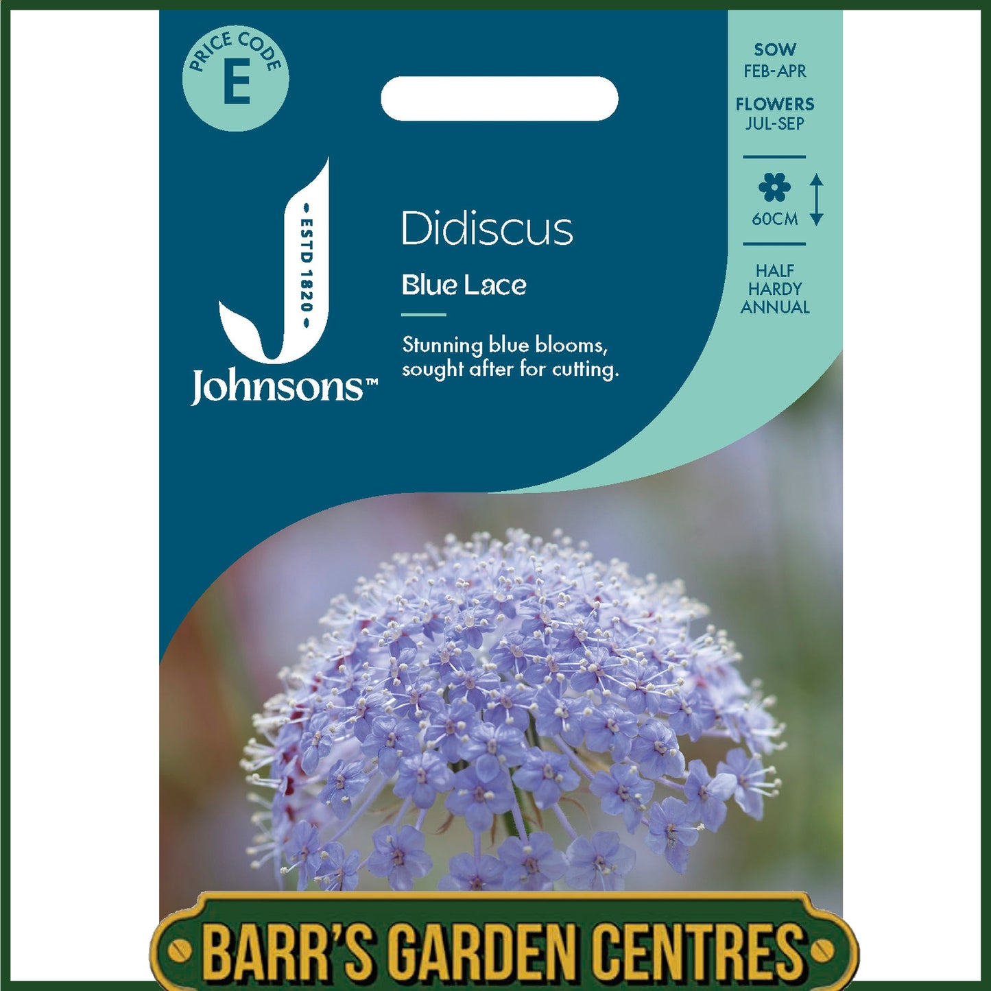 Johnsons - Didiscus Blue Lace - 100 Seeds
