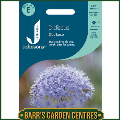 Johnsons - Didiscus Blue Lace - 100 Seeds