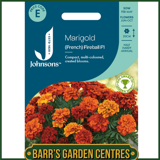 Johnsons - Marigold (French) Fireball F1 - 50 Seeds