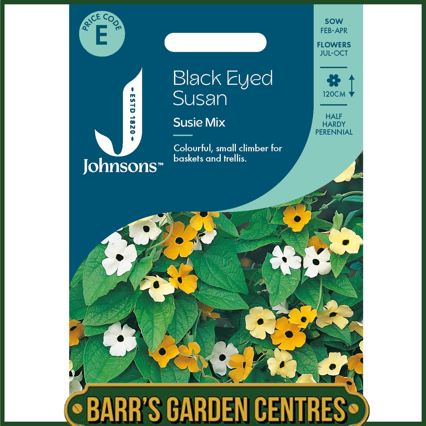 Johnsons - Black Eyed Susan Susie Mix - 25 Seeds