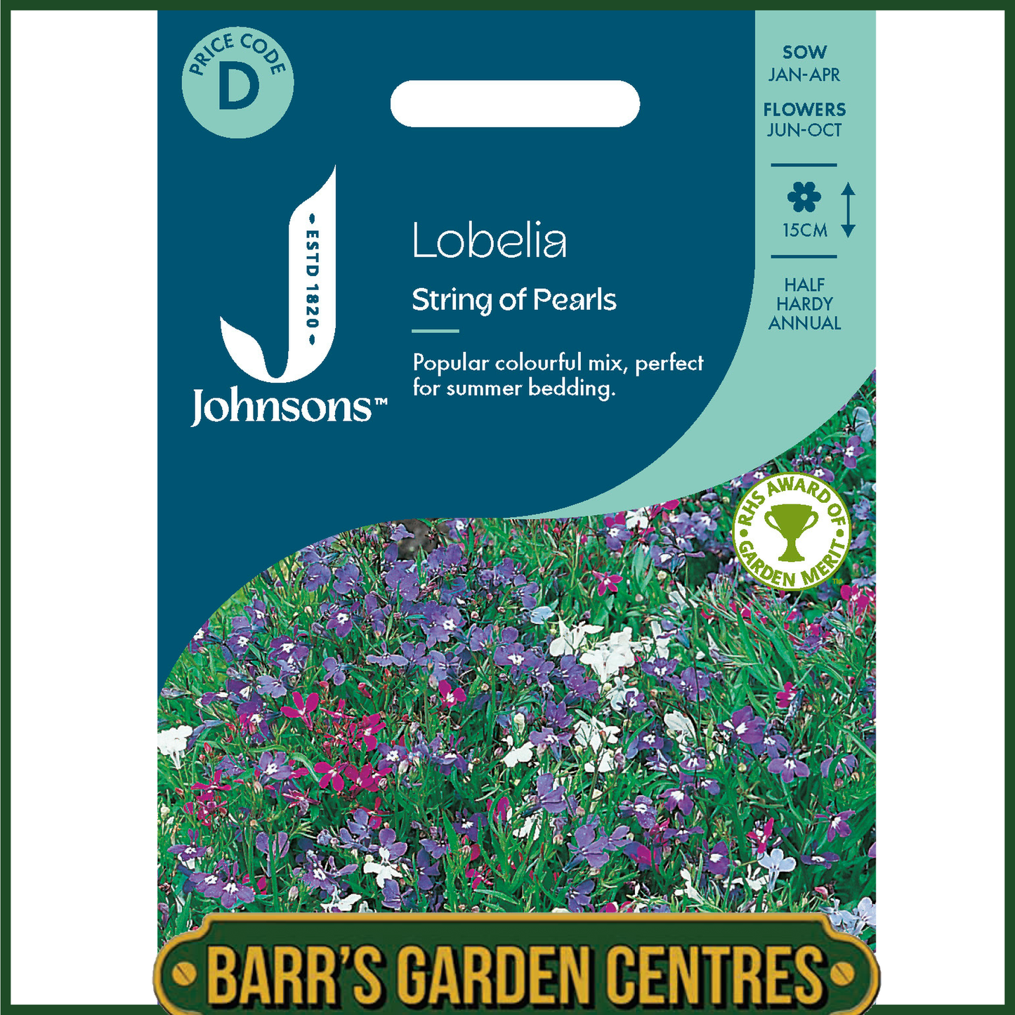 Johnsons - Lobelia String of Pearls - 2500 Seeds