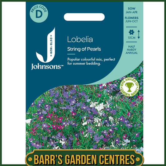 Johnsons - Lobelia String of Pearls - 2500 Seeds