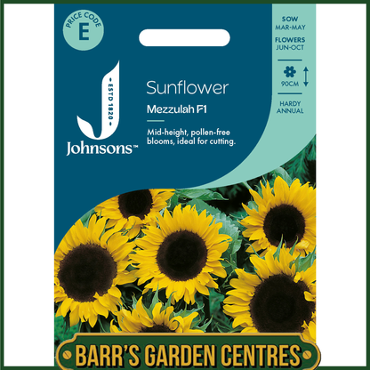 Johnsons - Sunflower Mezzulah F1 - 20 Seeds