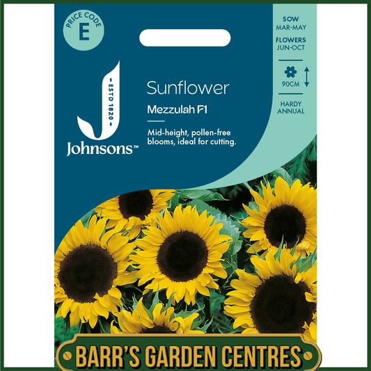 Johnsons - Sunflower Mezzulah F1 - 20 Seeds