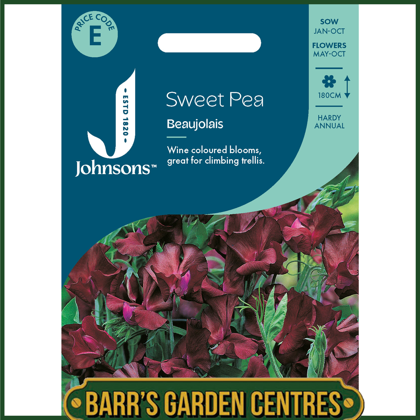 Johnsons - Sweet Pea Beaujolais - 20 Seeds