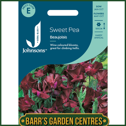 Johnsons - Sweet Pea Beaujolais - 20 Seeds
