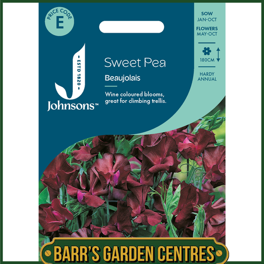 Johnsons - Sweet Pea Beaujolais - 20 Seeds