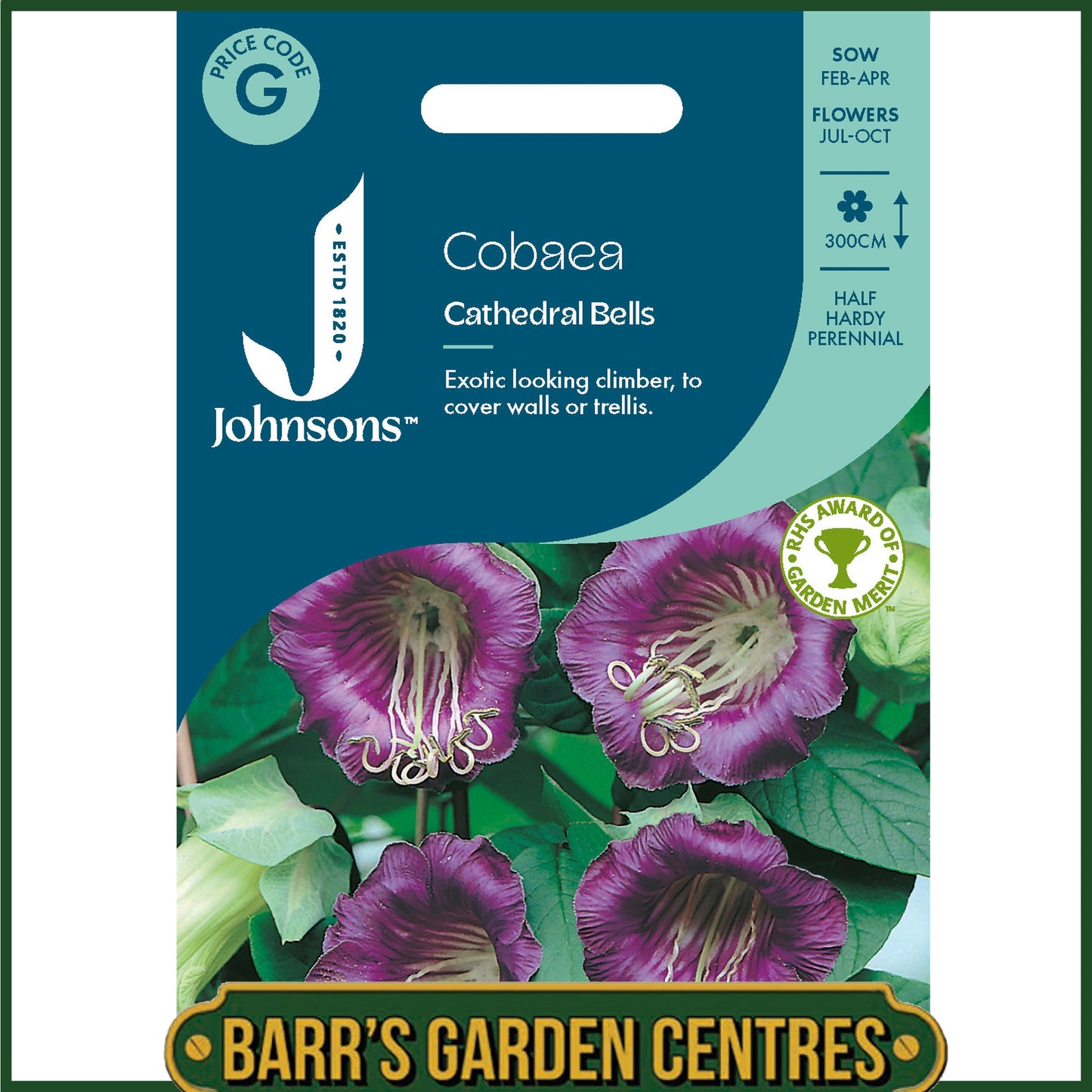 Johnsons - Cobaea Cathedral Bells - 20 Seeds