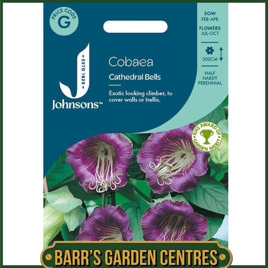 Johnsons - Cobaea Cathedral Bells - 20 Seeds