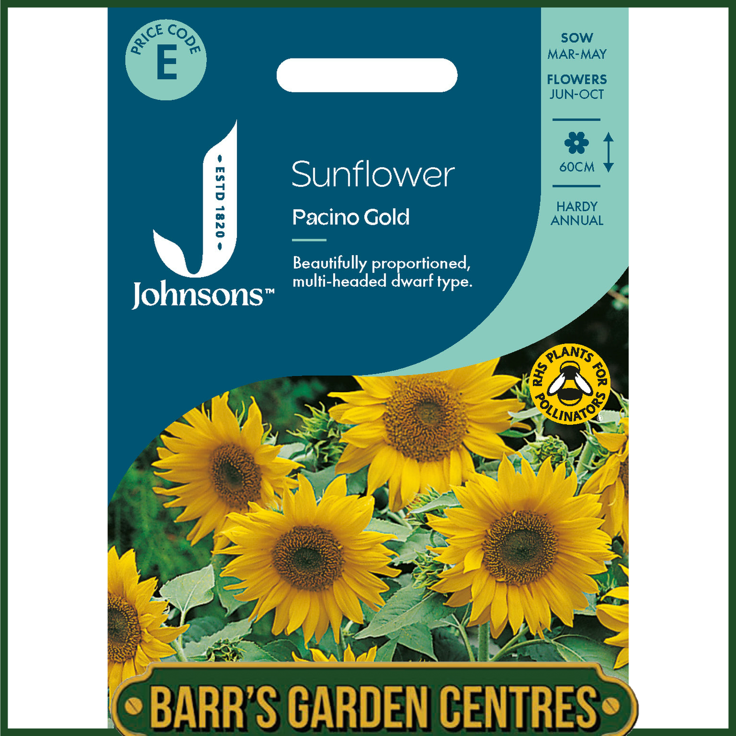 Johnsons - Sunflower Pacino Gold - 20 Seeds