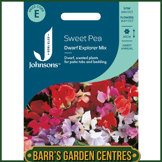 Johnsons - Sweet Pea Dwarf Explorer Mix - 25 Seeds