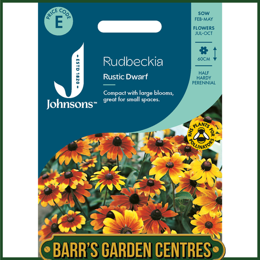 Johnsons - Rudbeckia Rustic Dwarf - 500 Seeds