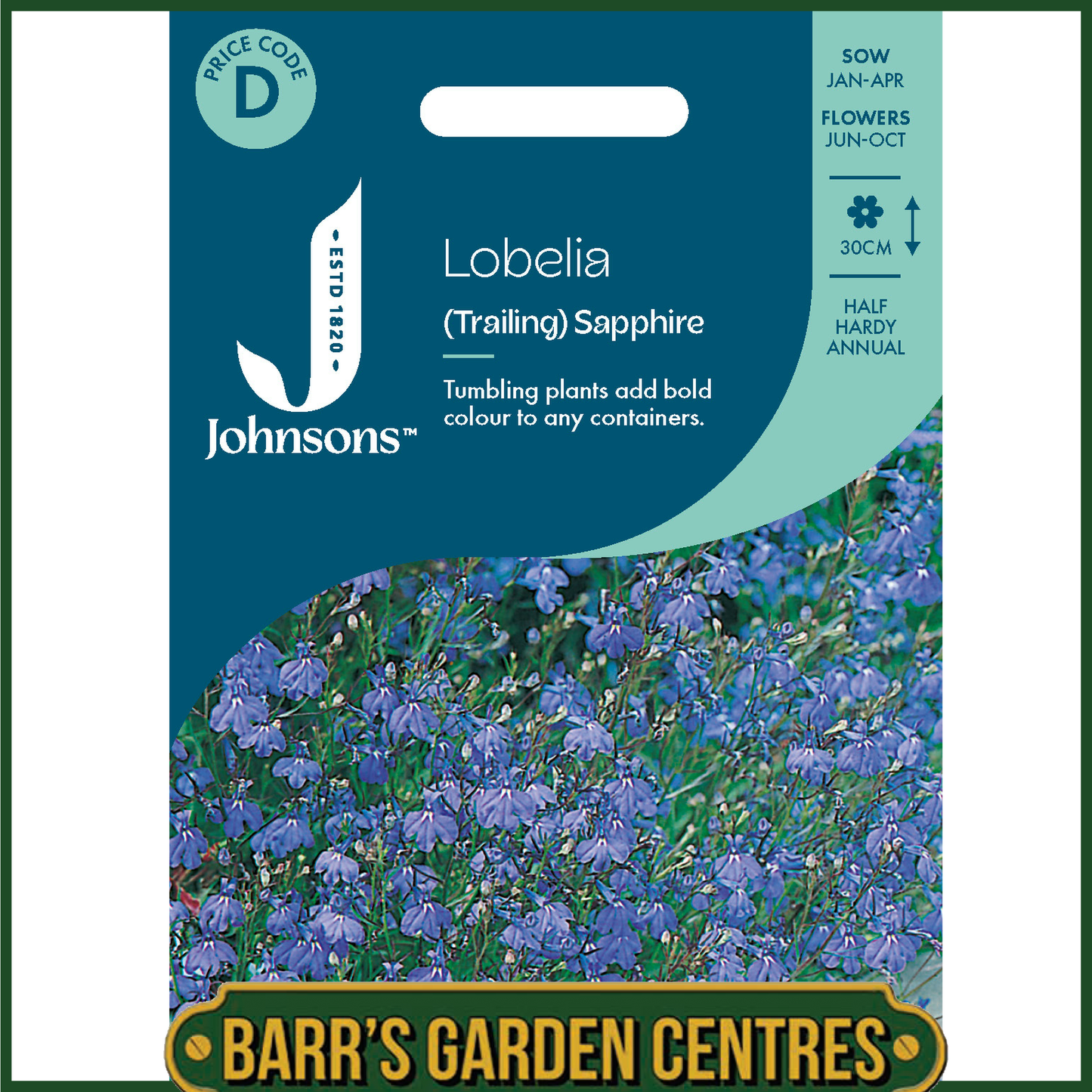 Johnsons -  Lobelia (trailing) Sapphire - 2000 Seeds
