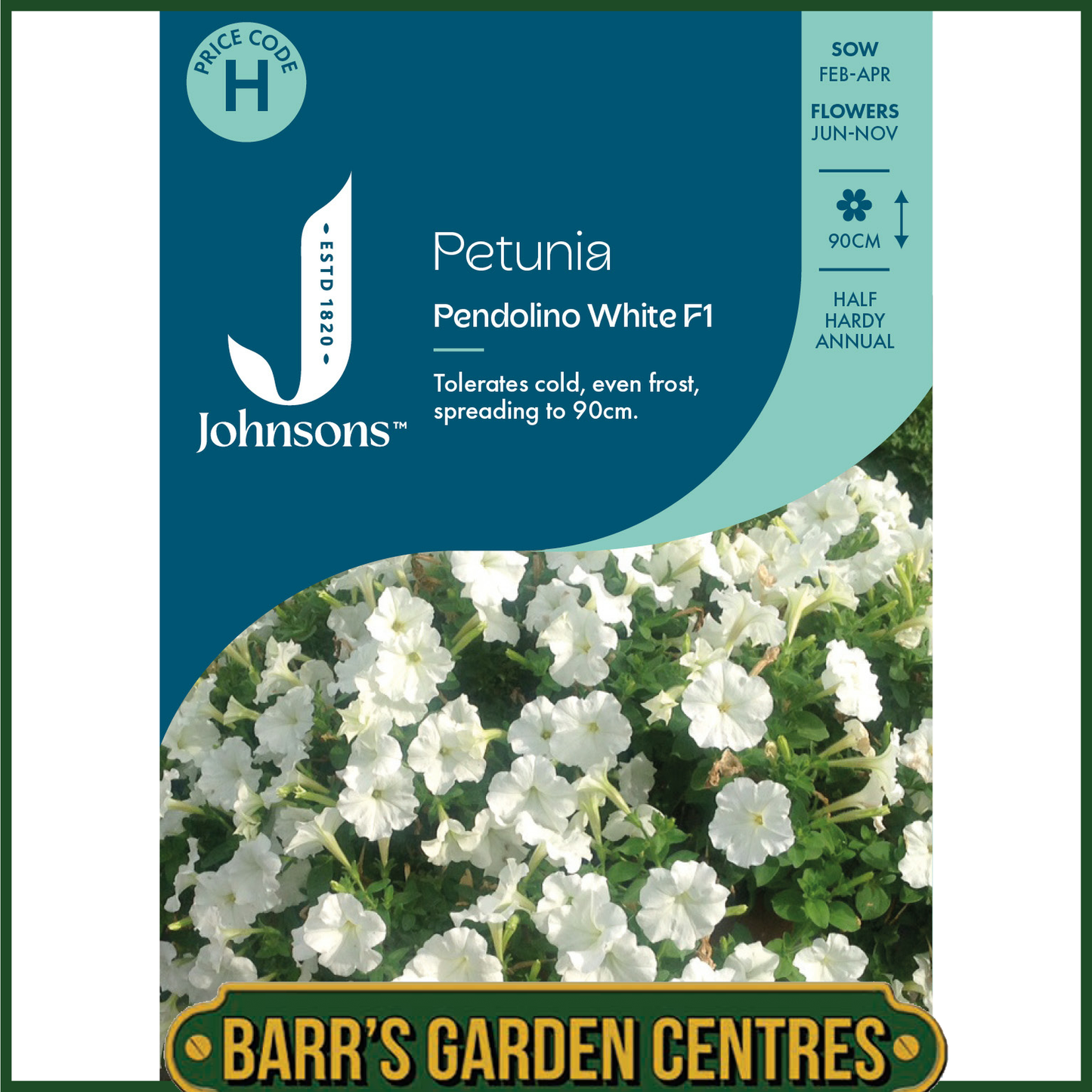 Johnsons - Petunia Pendolino White F1 - 10 Seeds
