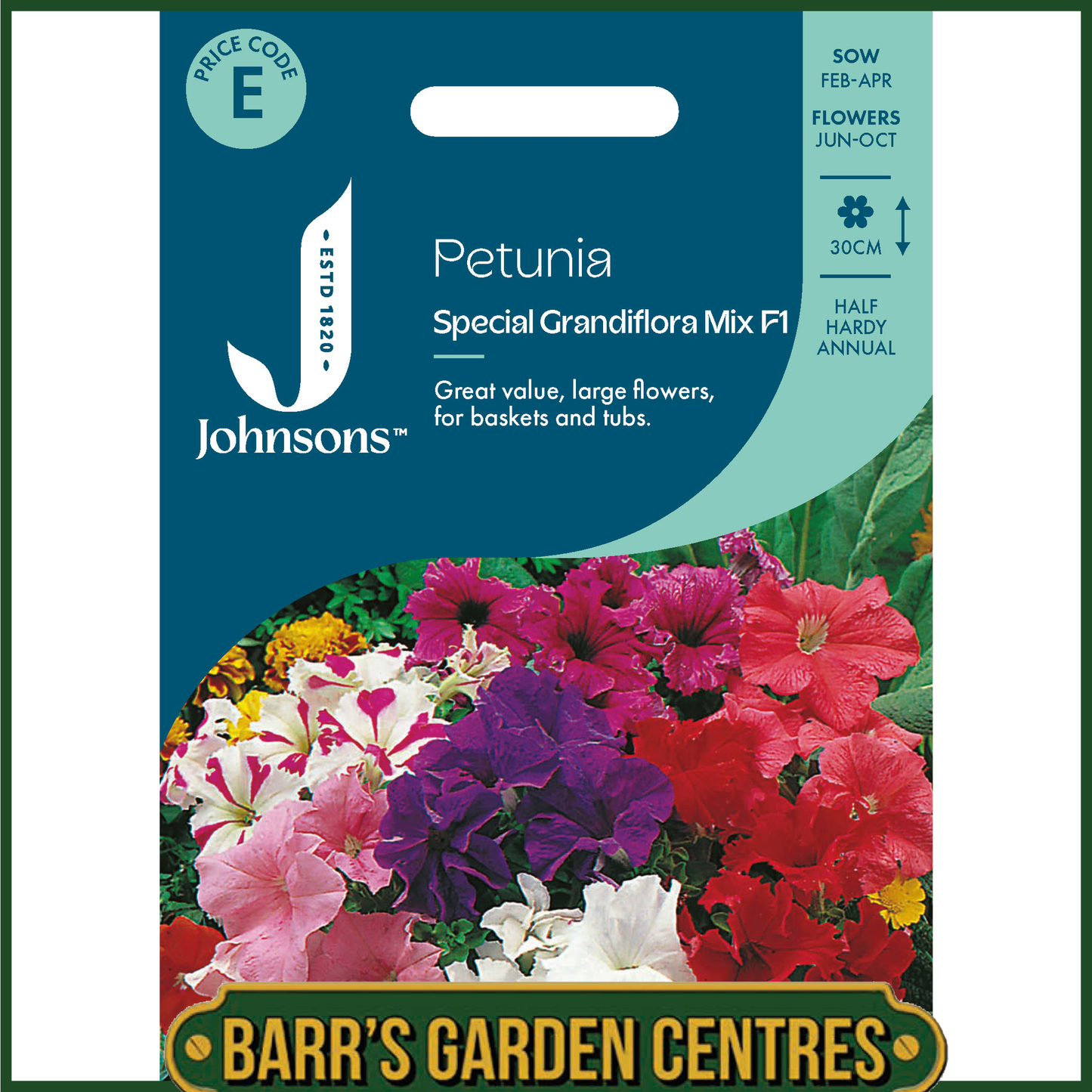 Johnsons - Petunia Special Grandiflora Mix F1 - 100 Seeds