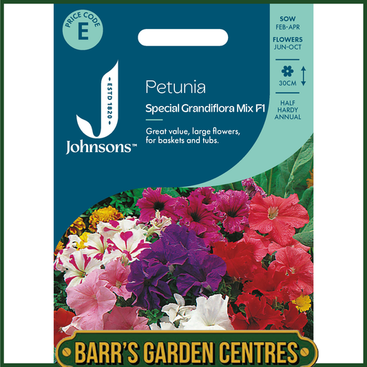 Johnsons - Petunia Special Grandiflora Mix F1 - 100 Seeds