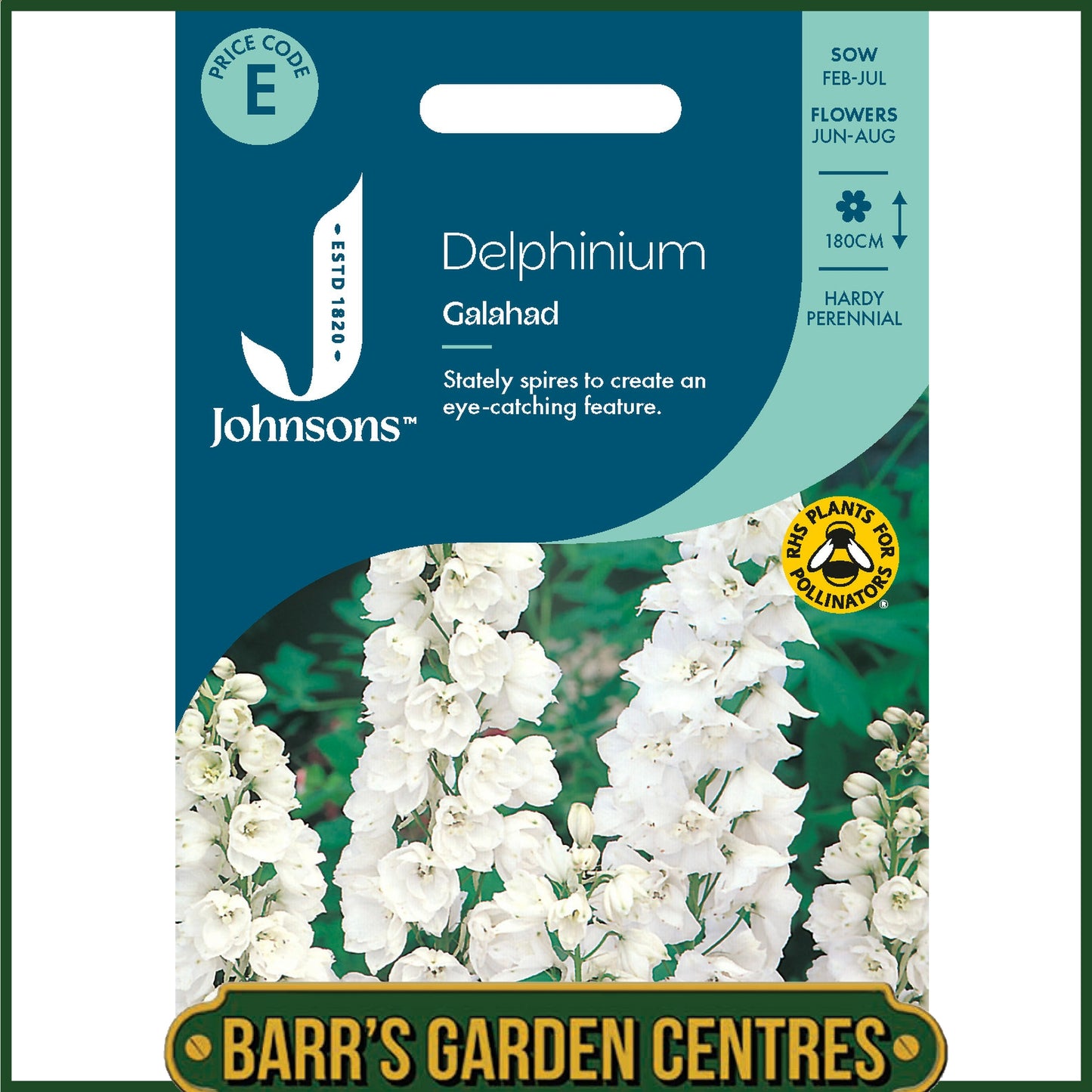 Johnsons - Delphinium Galahad - 60 Seeds